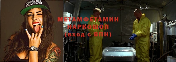 шишки Лабытнанги