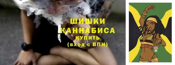ПСИЛОЦИБИНОВЫЕ ГРИБЫ Лагань