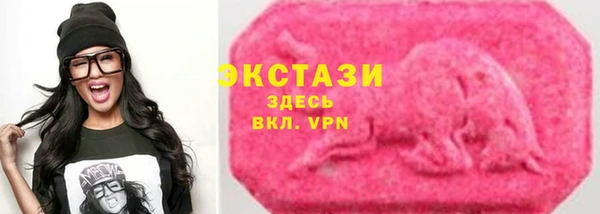 шишки Лабытнанги