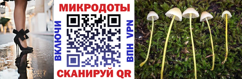 Галлюциногенные грибы прущие грибы  сколько стоит  Вологда 
