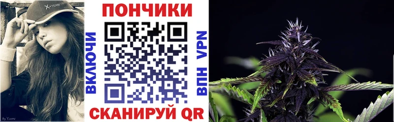 Бошки Шишки VHQ Вологда